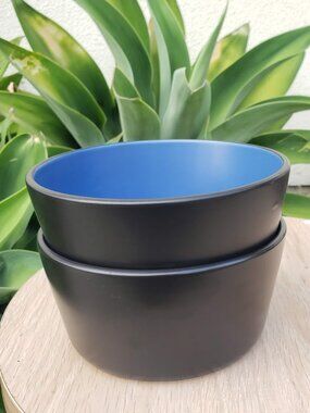 NEW Stone Lain 2 Bowls Stoneware Dinnerware Set Blue and Black replacement Dishe